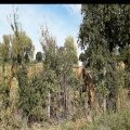 lucie C. assistante maternelle Géraudot 10