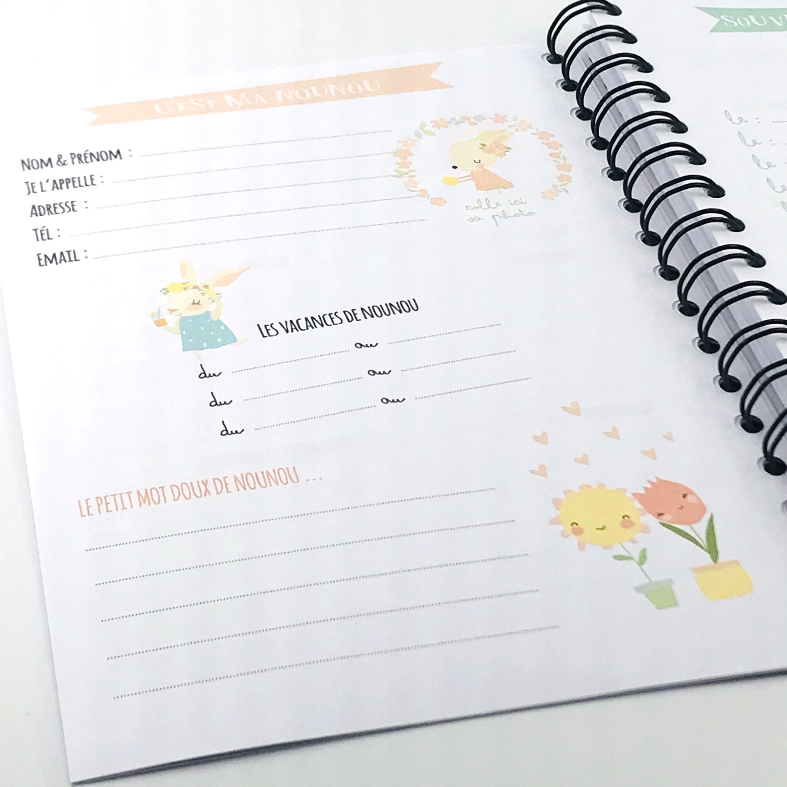 Cahier De Liaison Nounou Lapinou Garde D enfants cahier-de-liaison-nounou-lapinou-garde-d-enfants