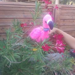 sophie G. assistante maternelle Saint-Georges-sur-Baulche 89